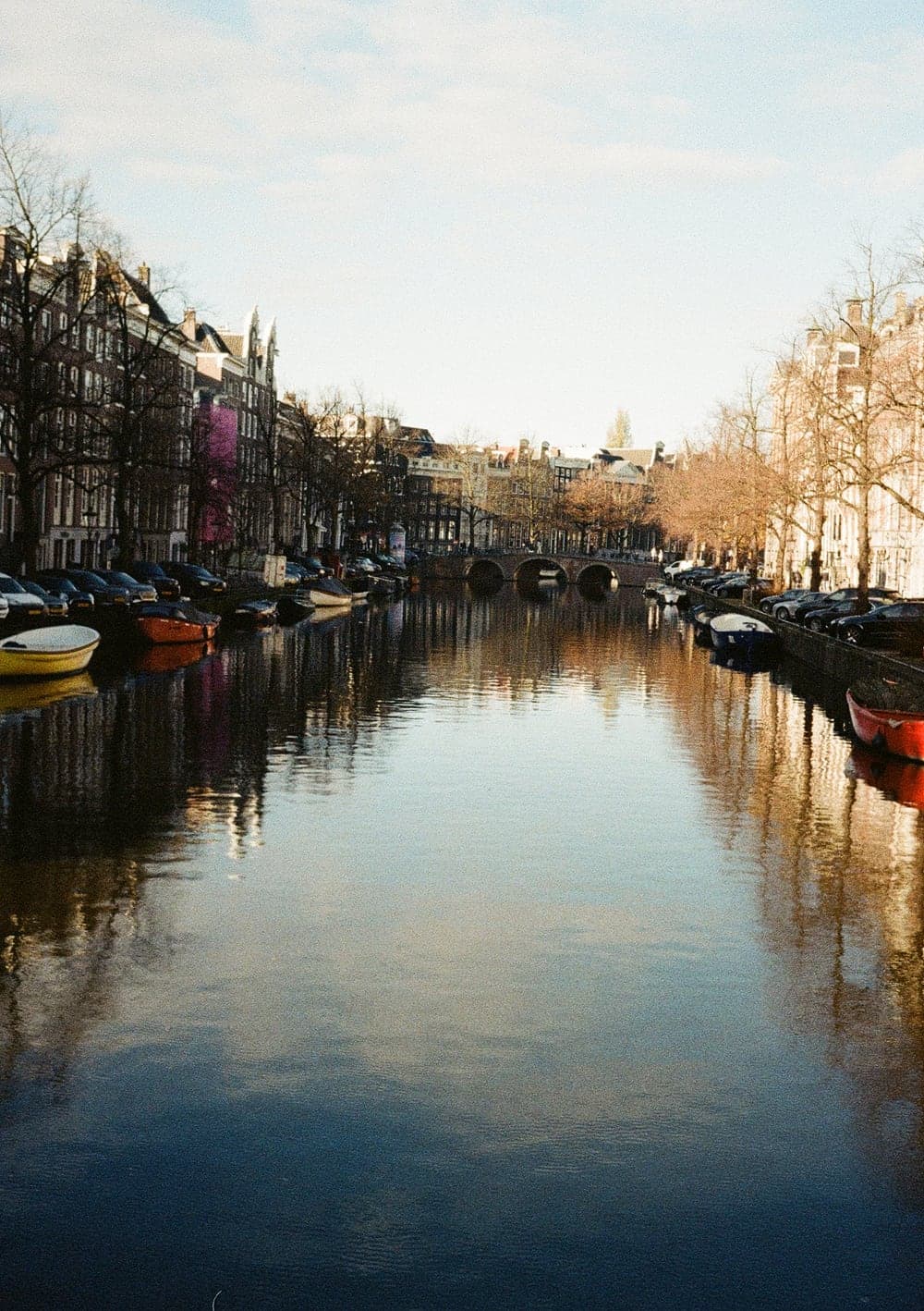 An Amsterdam canal at golden hour, row houses and bare trees reflected in still water