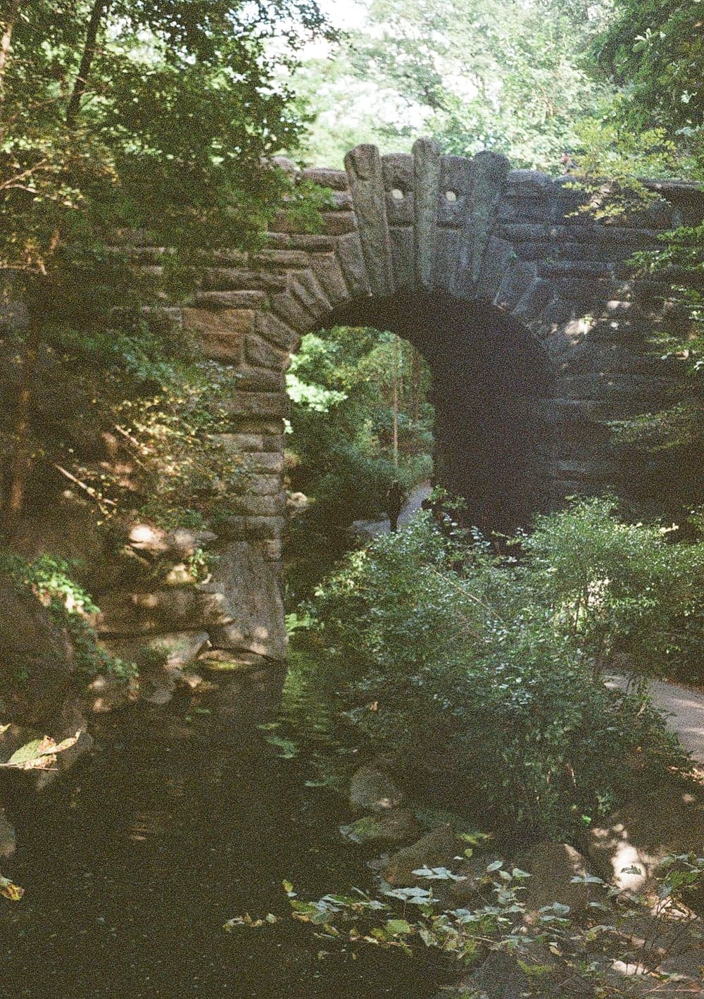 A stone arch bridge in Central Park, half hidden by dense summer trees
